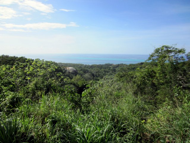 Angel & Stephanie's Dive Trip to Isla de Roatan, October 2014